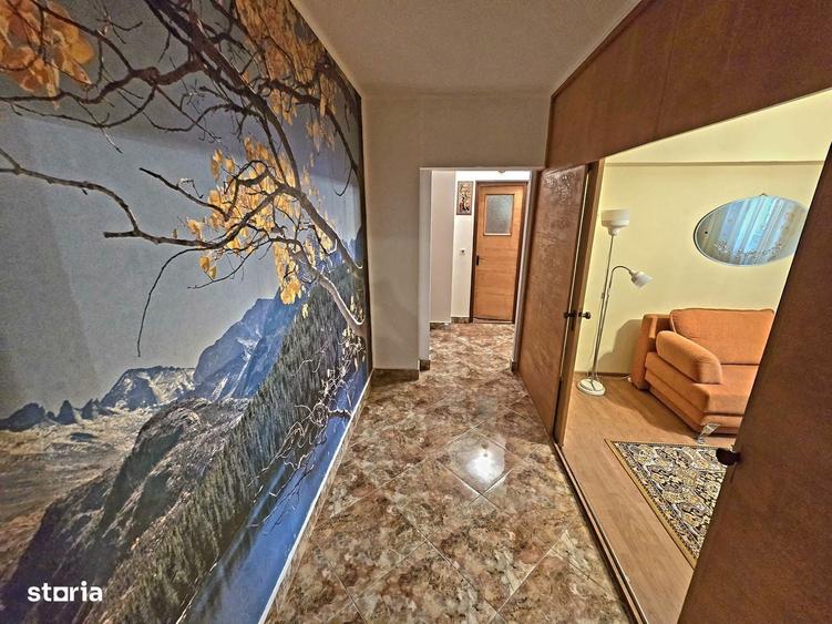 Vand apartament 2 camere Fratii Golesti - 13