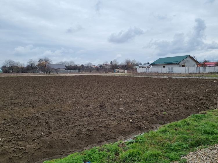 Teren Comuna Berceni zona noua - 2