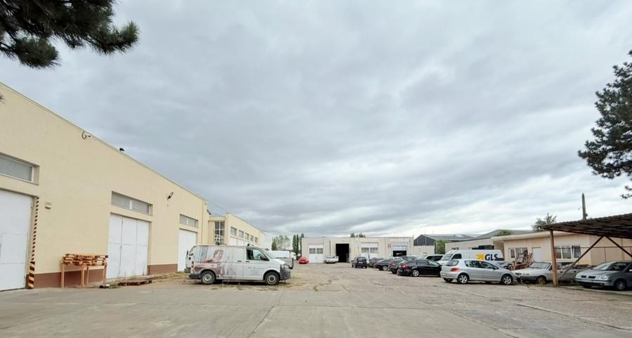 HALE INDUSTRIALE - 4