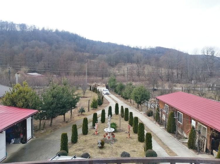 Casa P+M, Malureni -Toplita,  teren 2.798mp - 41