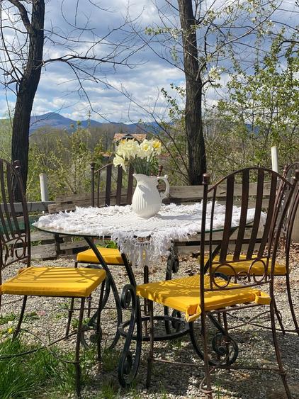 Proprietate Breaza de vis , zona de vis , prezentarea agentului , de vis - 38