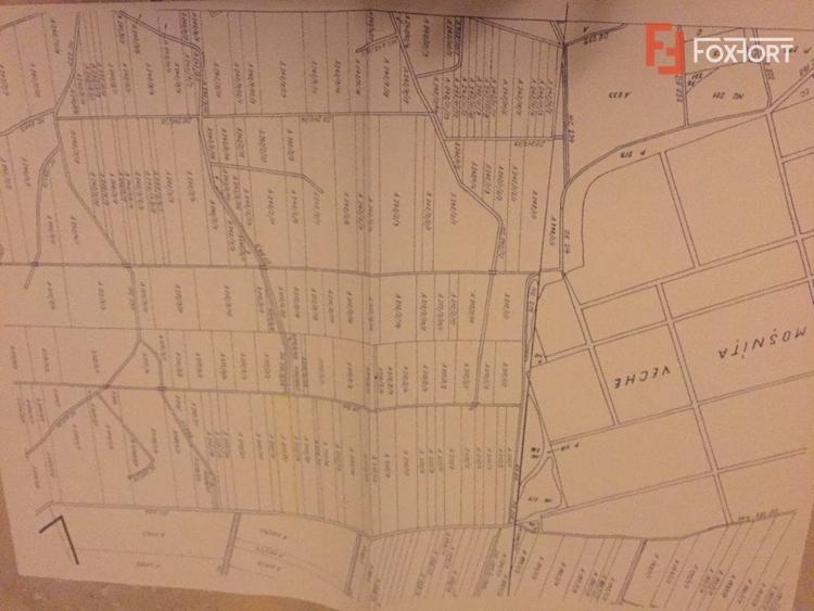 Teren 20000 mp intre Mosnita Veche si Bucovat - ID V4317 - 3