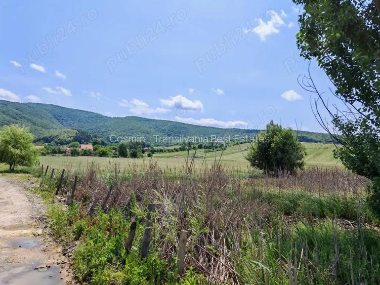 Teren intravilan 7.800 mp Marcu? sau loturi incepand cu 7.000 euro.
