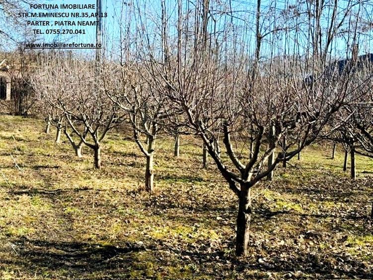 Proprietate com.Girov,compusa din casa, anexe si 8800 mp teren - 21