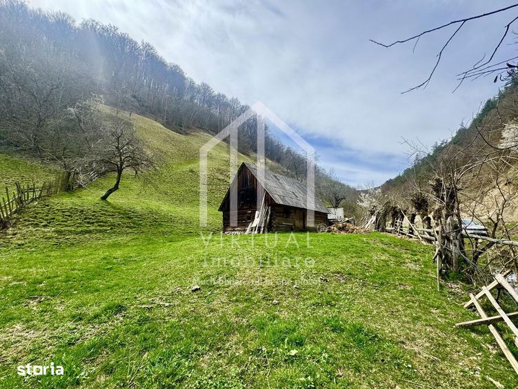 Teren intravilan + faneata, ideal pentru investitie - Rau Sadului - 3