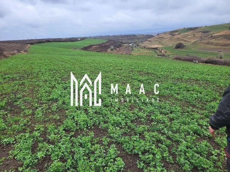 Teren 20500mp I Deschidere 100ml I Compact I Ocna Sibiului - 1