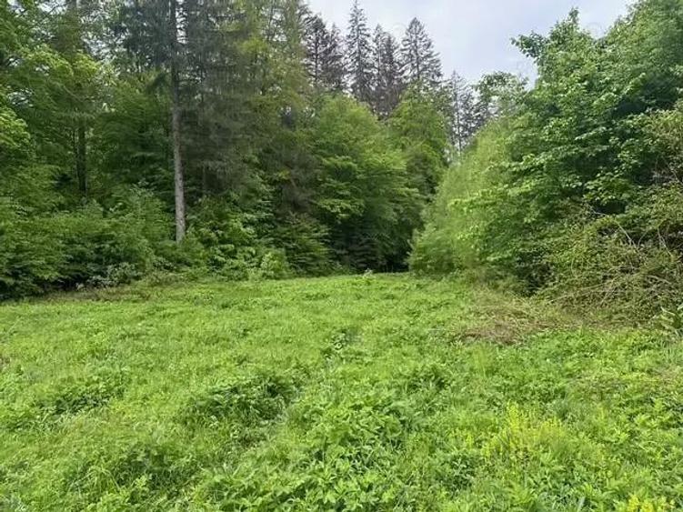 Vand teren extravilan zona usor accesibila, zona Colonia Mina 1 Mai - 1