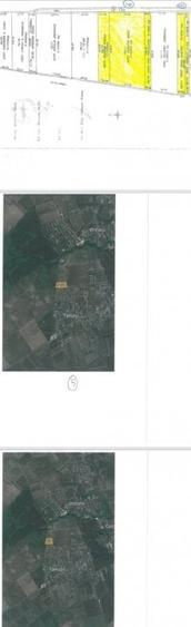 Teren Ostratu-Tamasi // OPORTUNITATE INVESTITII - 13