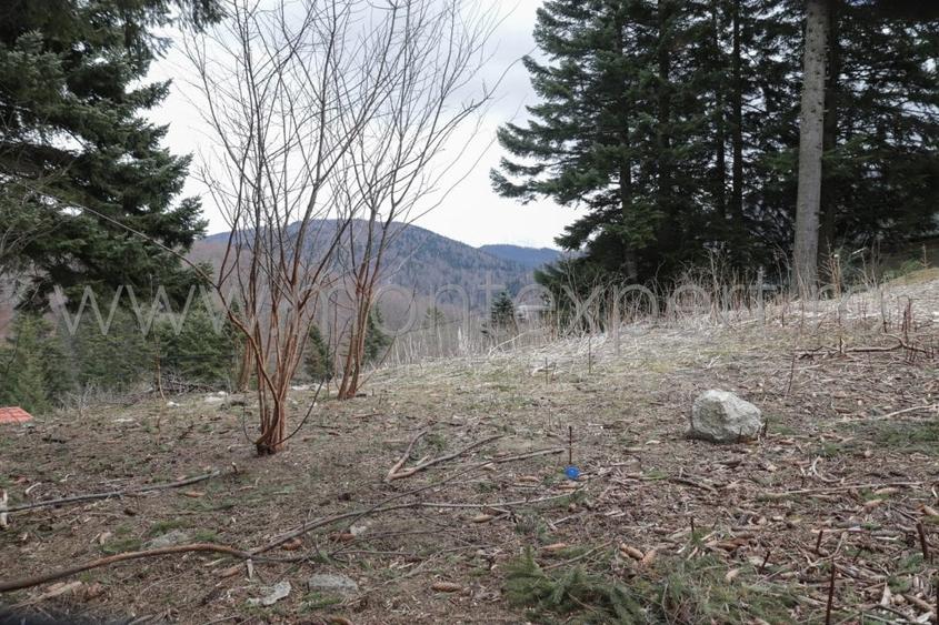 Busteni – Kalinderu, Teren Cu Vedere Senzationala Spre Muntii Bucegi! - 3