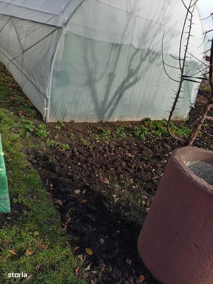 Casuta cu 800mp teren in Catamaresti Deal - 1