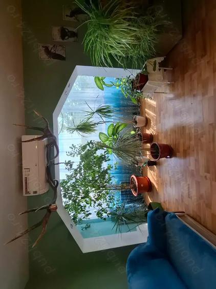 Vand apartament in Timi?oara str Nagy Eugen nr 10 - 2