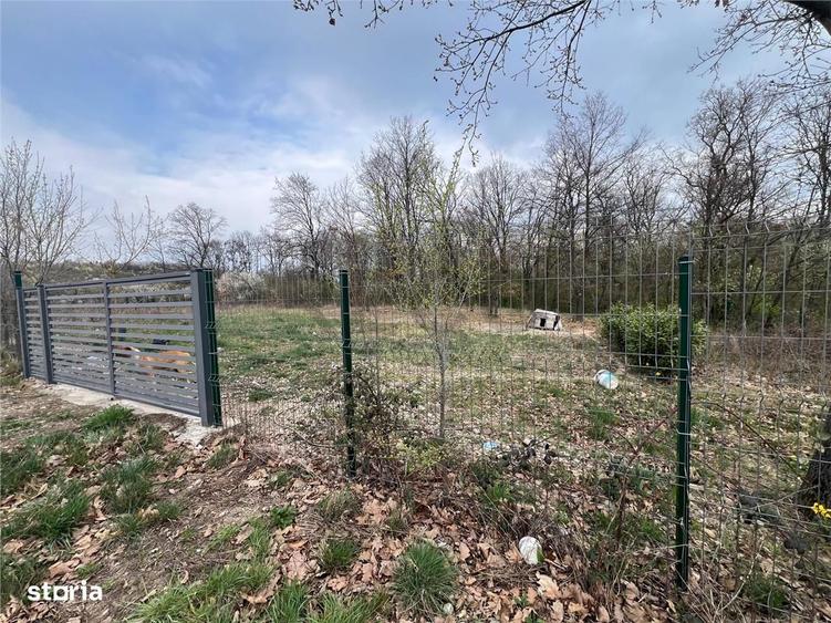 RECO Teren Saldabagiu de Munte - 3