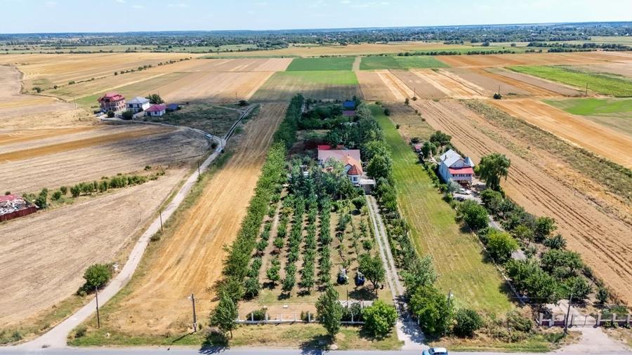 Casa+Laborator+ Teren 12.700 mp + casa de vacanta - Bolintin Vale - 38