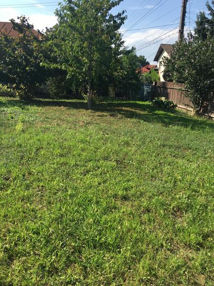 ROANDY-Teren la un super pret -Bucov - 2