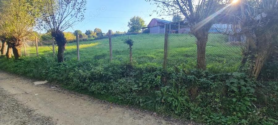 Casa batraneasca de vanzare - 2