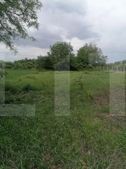 Casa batraneasca de vanzare Brae?ti, jude?ul Boto?ani - 2