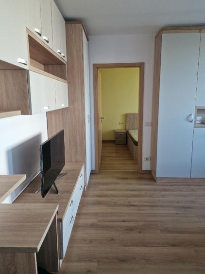 Apartament cu 2 camere, mobilat în Take Ionescu