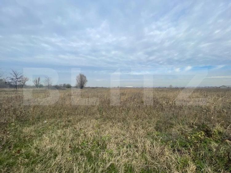 Teren extravilan agricol 5792 mp Popoveni - 1