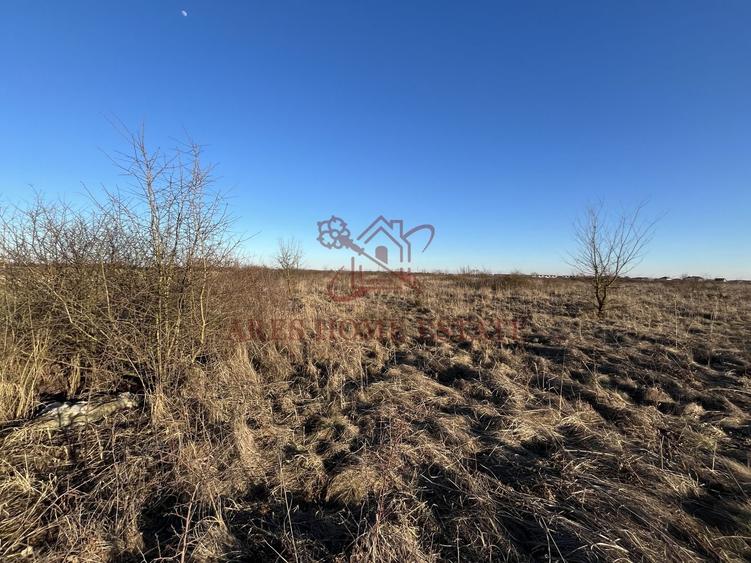 Zona Urban Village, aproape de centura | 20 euro/mp | Mosnita Veche - 5