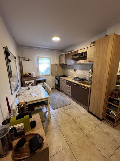 Apartament 2 camere de vanzare 55 mp langa sens AEM, Timisoara - direct de la proprietar - 5