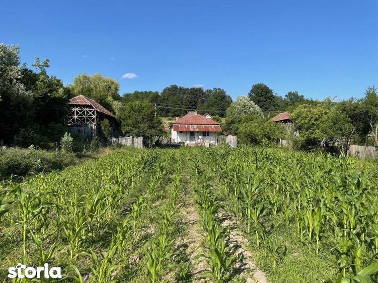 Vand Casa + teren 12.000 mp in Cernisoara, sat Modoia, Valcea - 7