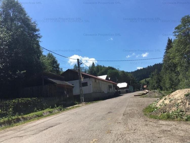 Casa P+E + atelier si anexe, Sadova, jud Suceava - 5