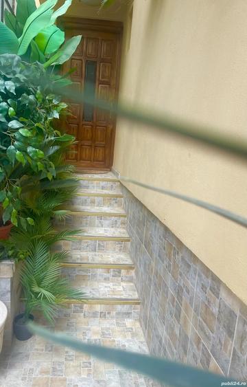 Casa individuala Musicescu. Timisoara - 8