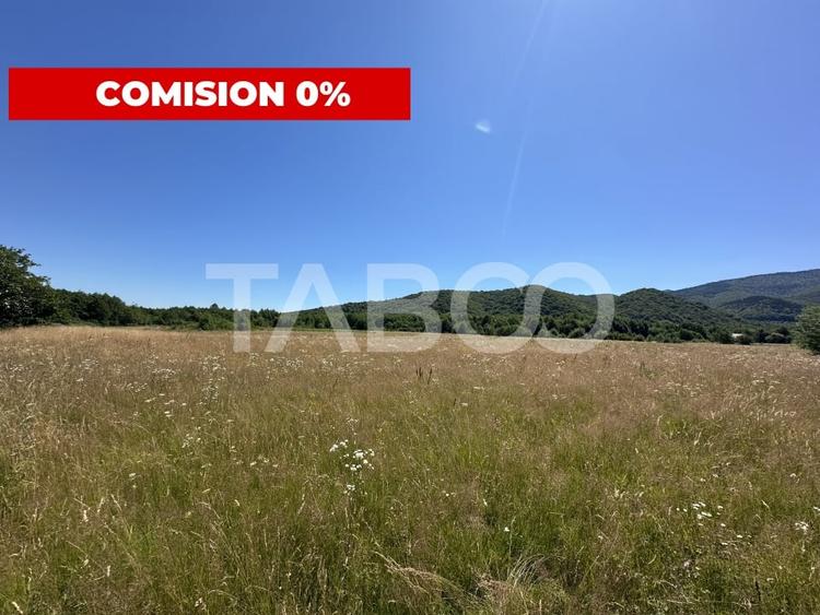 Teren extravilan 1900 mp cu utilitati in apropiere pe Valea Sebesului - 1