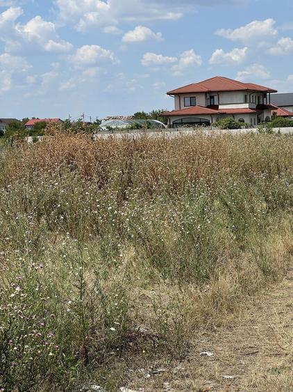 Teren pentru vile in Bragadiru - 2