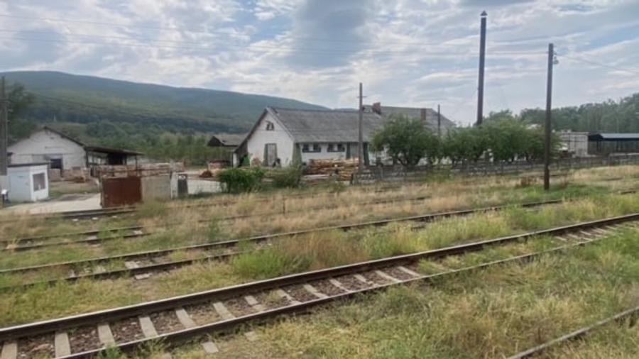 Fabrica de prelucrarea lemnului Valea Buzaului. - 19