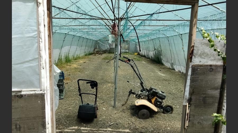 Casă cu gradina 1255mp cu sere, Copaceni , 25km de Cj-N,comision 0% - 12