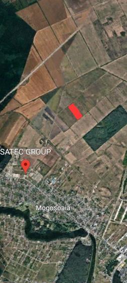 Teren de vanzare in Mogosoaia - 2