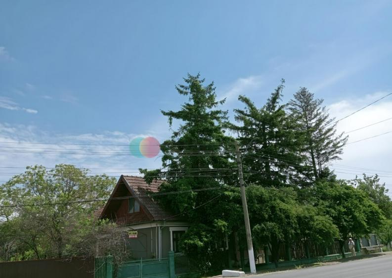 Casa Cujmir Mehedinti | Situata la strada | Teren 2038 mp| - 2