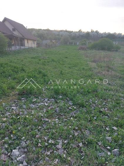 Teren intravilan 1800 mp – Șutu, comuna Ciurila - 3