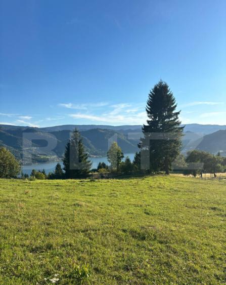 Teren de vanzare in Colibi?a oportunitate de investi? - 10