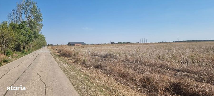 Oportunitate de investitie | Teren intravilan de vanzare | 10.000 mp - 7