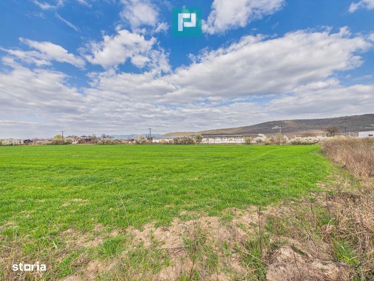 Teren extravilan, 1 ha, in orasul Sebis, Arad - 4