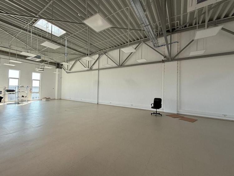 De vanzare Hală industrială Pallady -Drumul Intre Tarlale, 3600 mp - 25