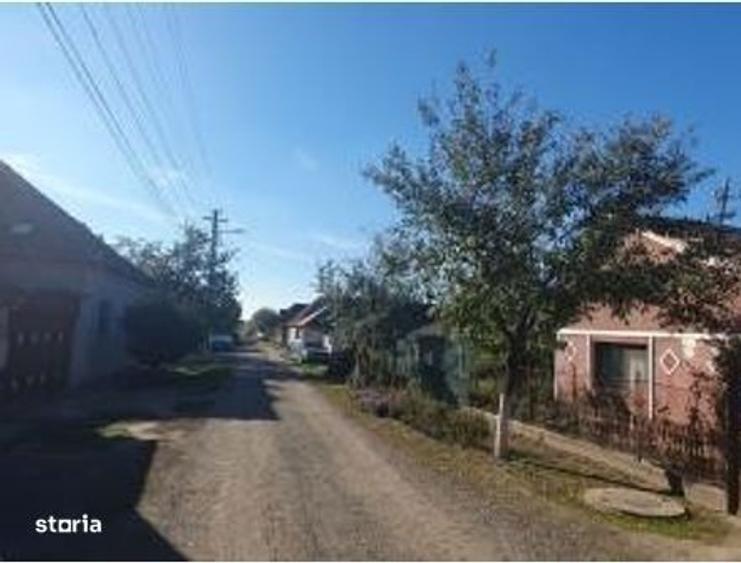 Cota 1/ 2 din casa si teren-loc. Pecica, jud. Arad - 4