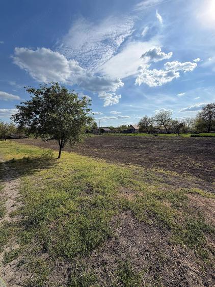 Vand casa in Dorobanti - 6