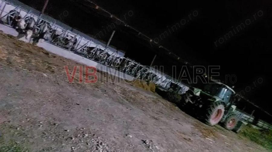 Ferma zootehnica func?ionala, populata cu peste 200 capete bovine, aproape de Sannicolau Mare - 4