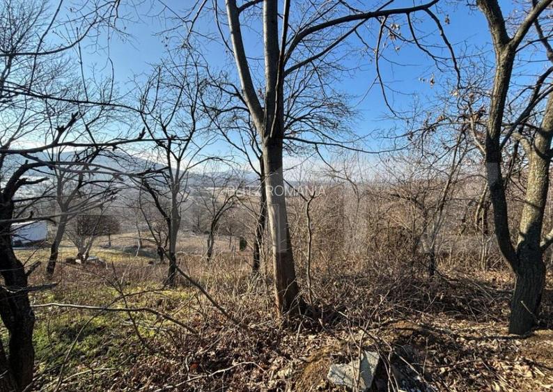 Teren intravilan de vanzare, 17700 mp Zalau Teren intravilan de vanzare, 17700 mp Zalau