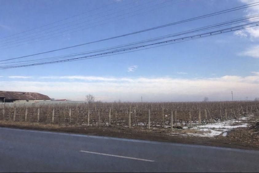 De vanzare teren Odobesti, Vrancea - 1