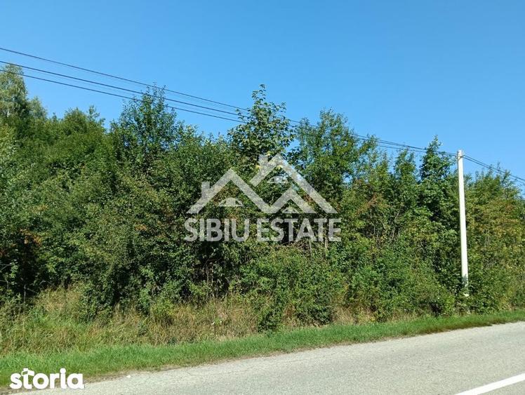 Teren construibil ,la sosea, intre Vale si Sibiel, zona cu potential - 4