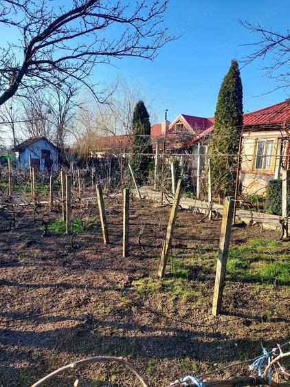 Casa de vanzare Pogoanele, jude?ul Buzau - 8