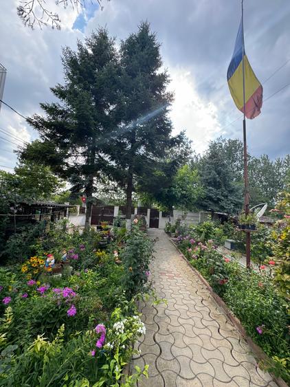 Vanzare vila lacul Baneasa - 26