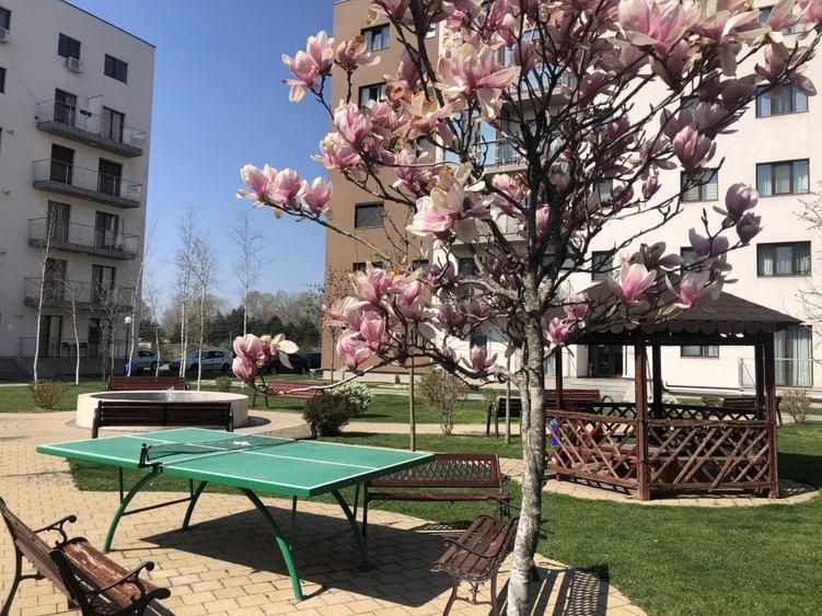 Apartamentul cu 2 camere, mobilat si utilat, parcare privata, Targoviste - 25