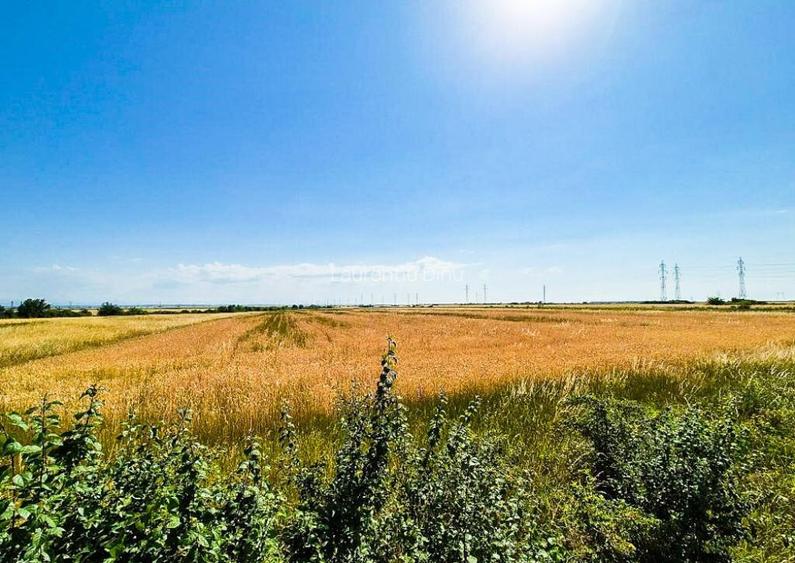 Teren Extravilan Bradu Arges