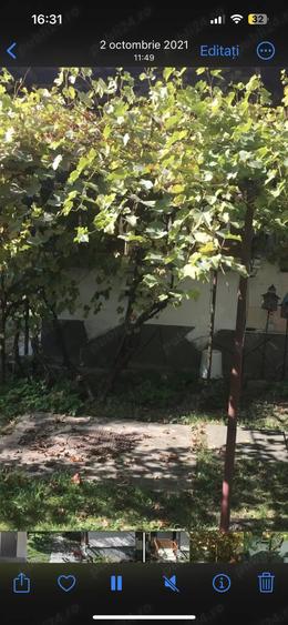 Inchiriere casa Breaza,120 mp,3 dormitoare ,sufragerie baie2 holur i, bucatarie ,centrala gaze ,tera - 4