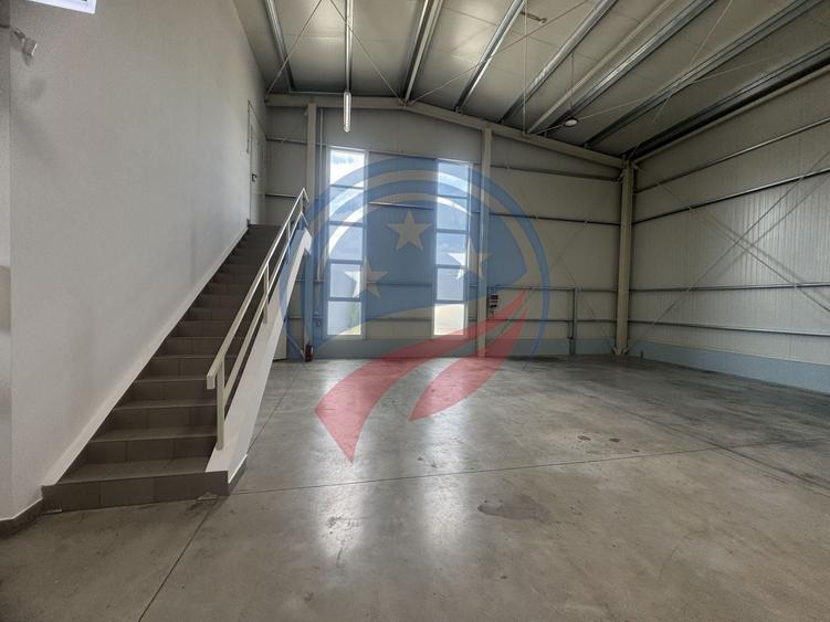 Hala in zona FORD 300-600 mp - 5